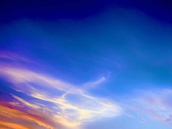 🌅7/11(土)🌅