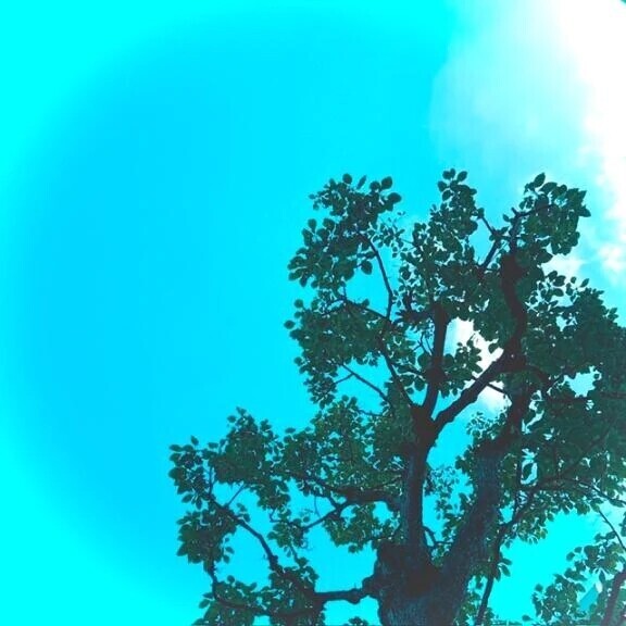 ☀️7/12(日)☀️