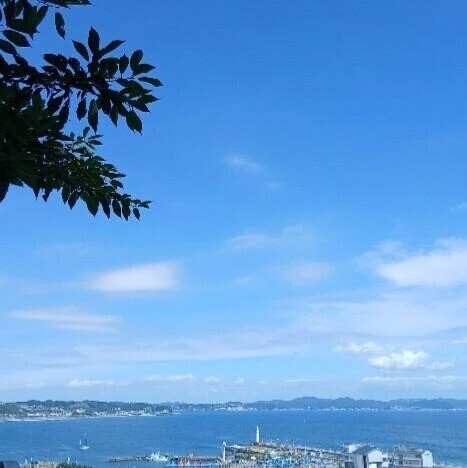 体験3日目★