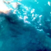 🔆本日出勤日🔆