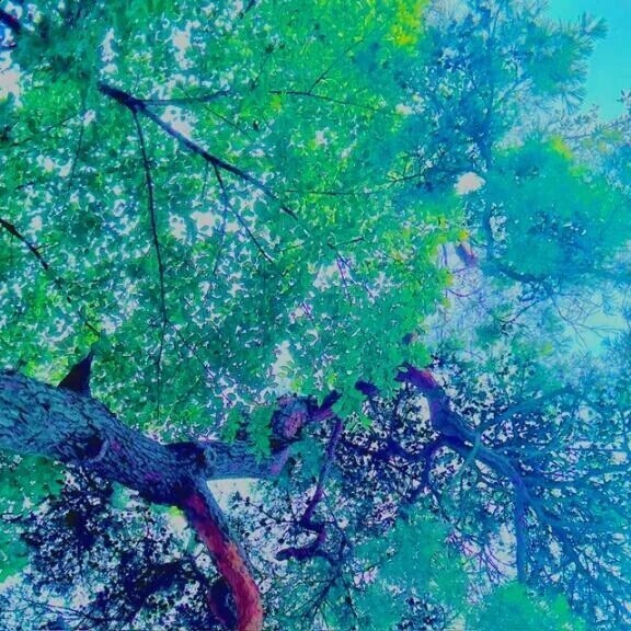 🍀今日のお礼🍀