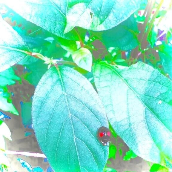 一緒に気持ちよく🫧
