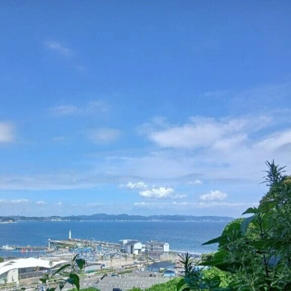 お盆が来る