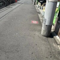 ひなた