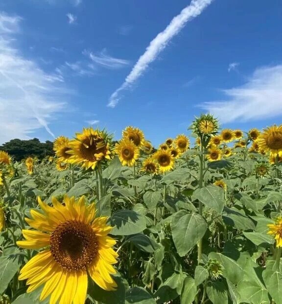 おはようございます(o^^o)