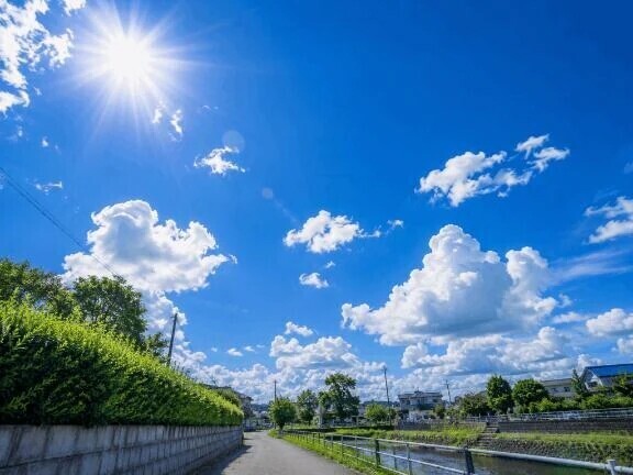 本日出勤です🙋‍♀️