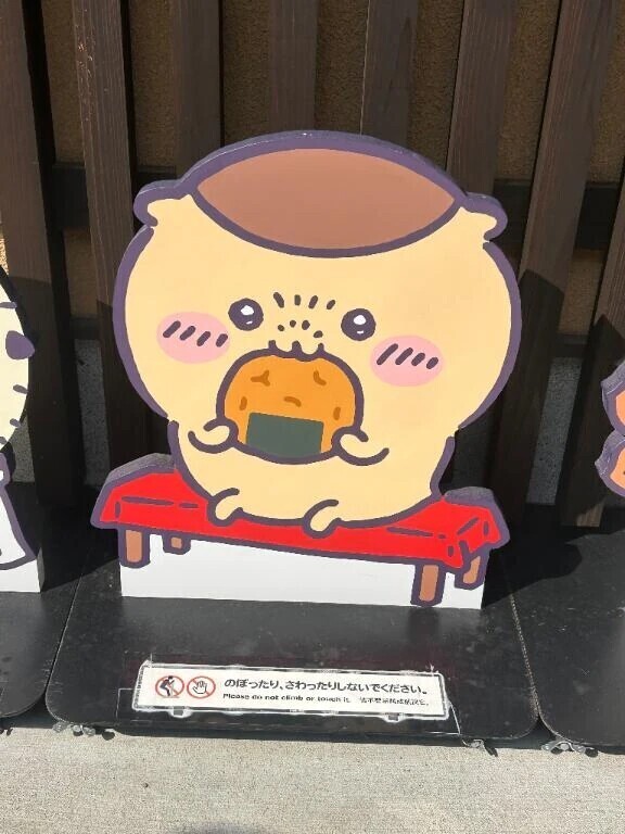 昨日ごめんなさい熱中症なりました