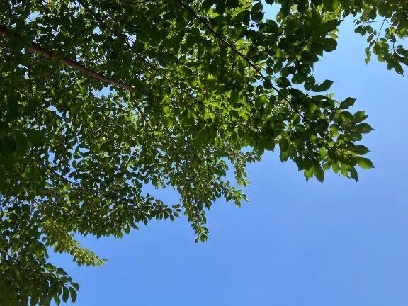 明日は１４時から