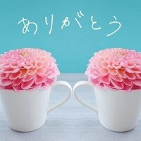 お礼日記💌