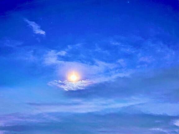 月と一緒に🌙