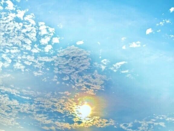 🔅本日出勤日🔅