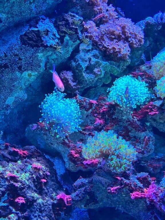 ⭐️8/3⭐️