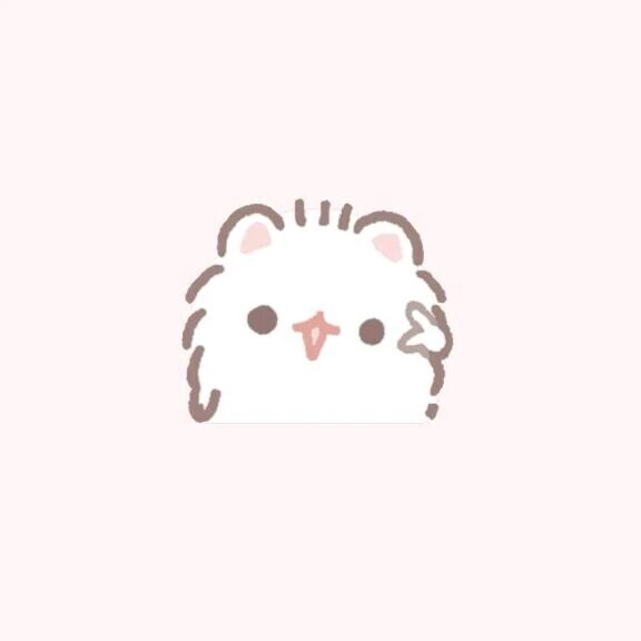 どうする？？？