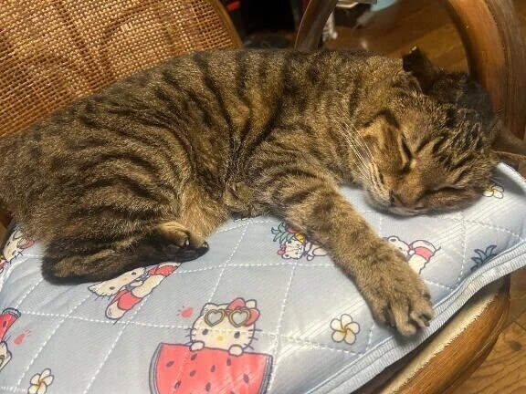 【お礼写メ日記】素敵な口コミありがとう