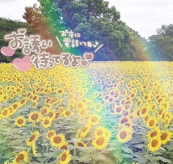 参加です