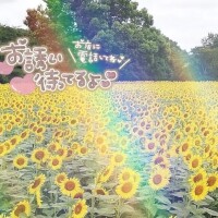 りん