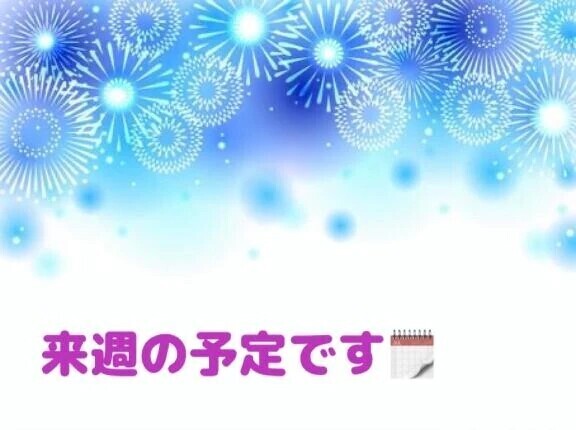 来週の予定