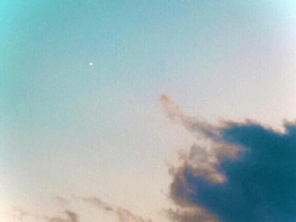 🌟発見🔭