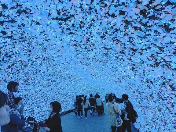 タイム🩵