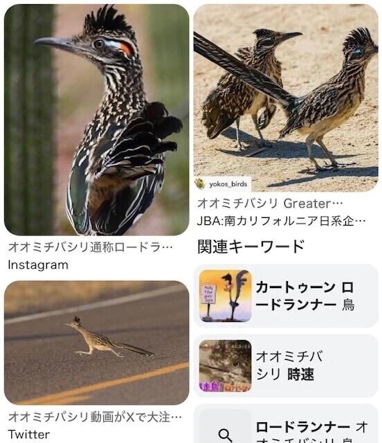 モデルさんがいた🕊️