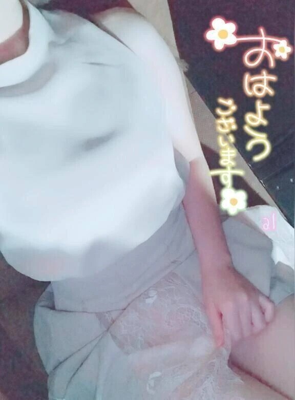 スケジュール