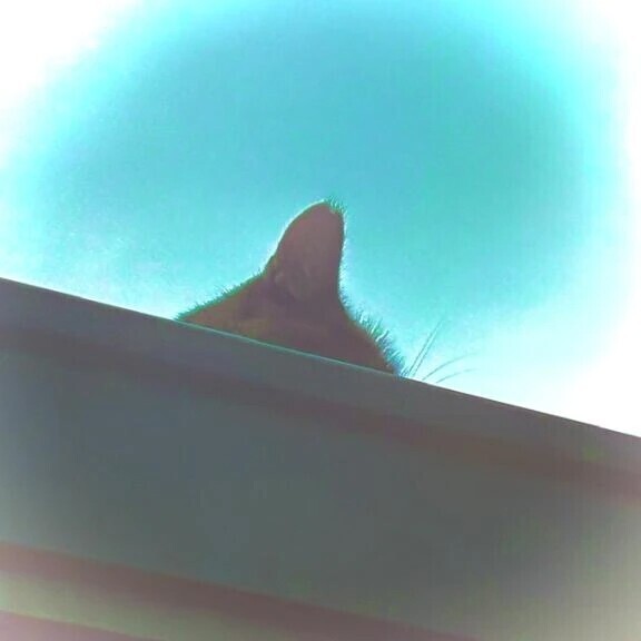 大事な言葉🗝️