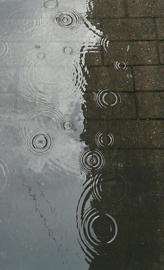 参加