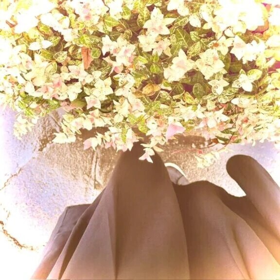 🍀今日のお礼🍀