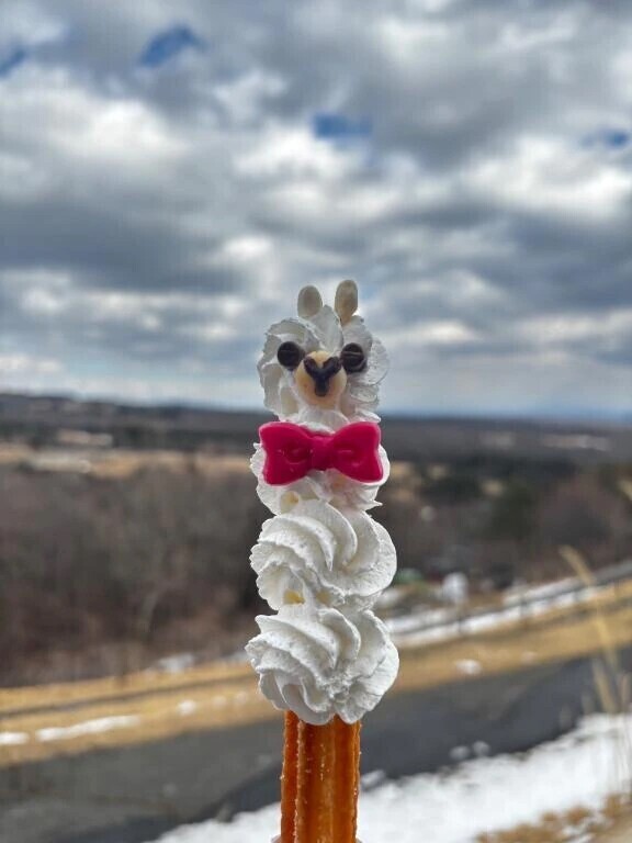 ありがとうございました💛