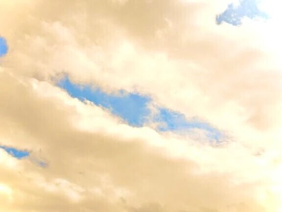 🔅本日出勤日🔅