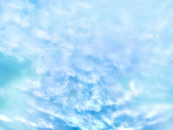 🌤️おはようございます🌦️