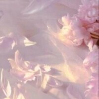 みれい