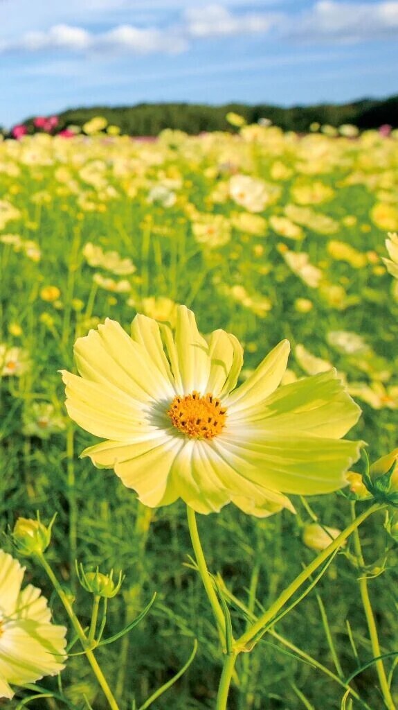 おはよん🌞