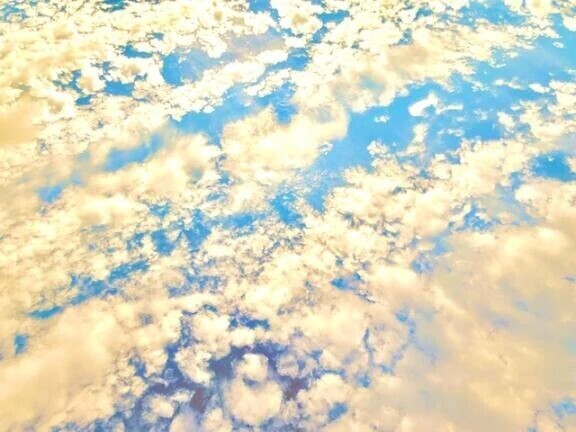 🔆本日出勤日🔆