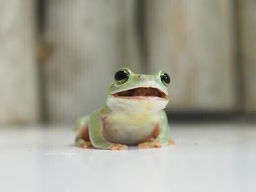 久しぶりです