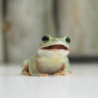 久しぶりです