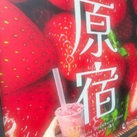 今日もいます??飲んだ?