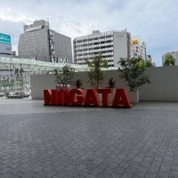 おはようございます??