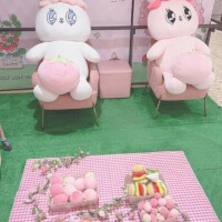 残り1枠です❣️