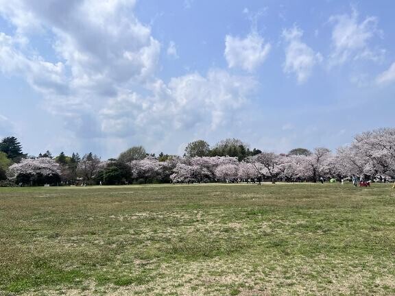 🌸𓂃 𓈒𓏸◌‬ ✮*｡ﾟ