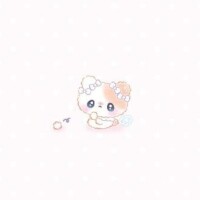 本日の枠🐹