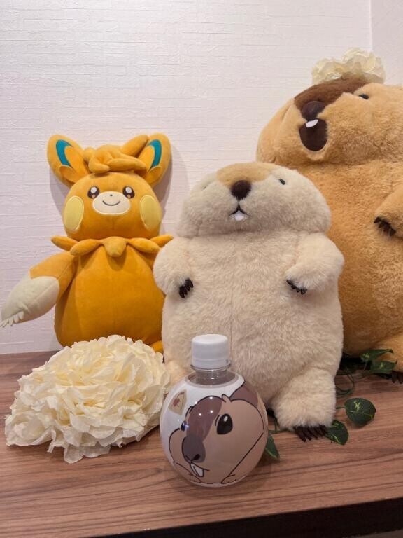 ご予約完売🈵