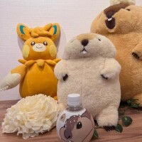 ご予約完売🈵