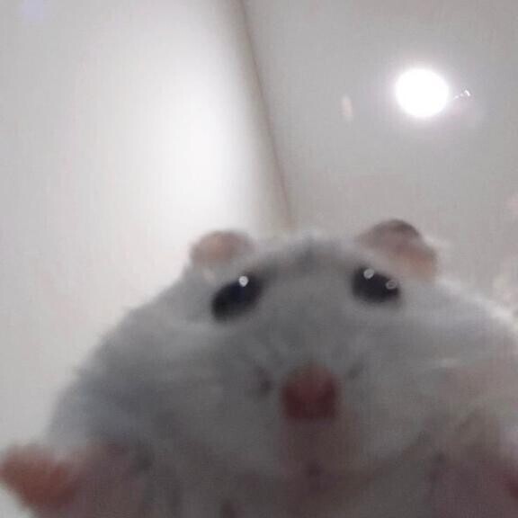 あいことば
