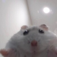 あいことば