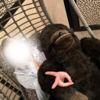 しゅ！
