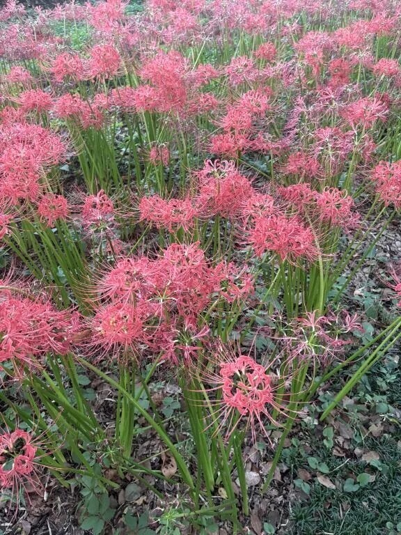 今日のあいことば