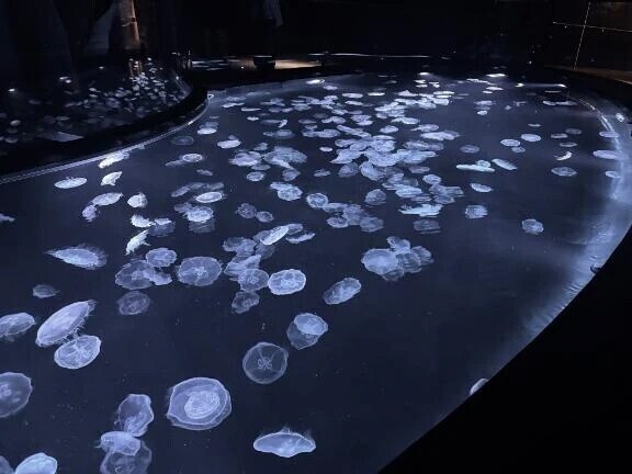 今日のあいことば