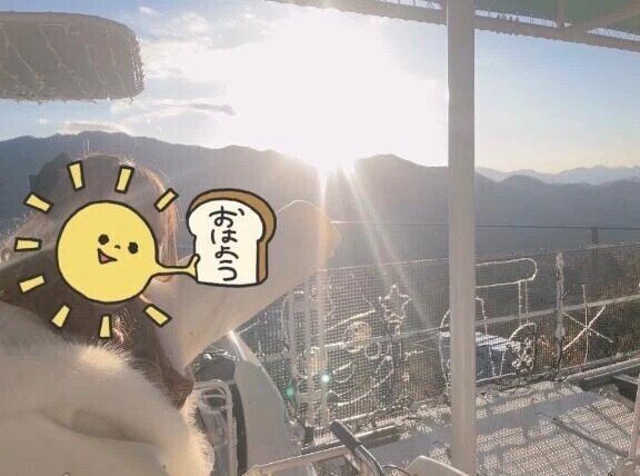 ２４：００まで🐱