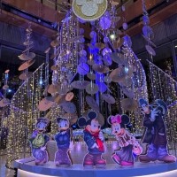 もしかしたら！！